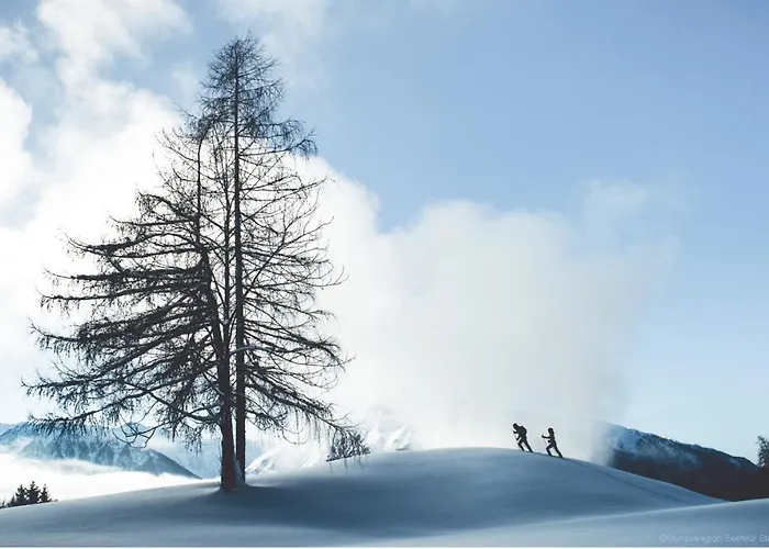 Valdo * Зеефельд в Тироле